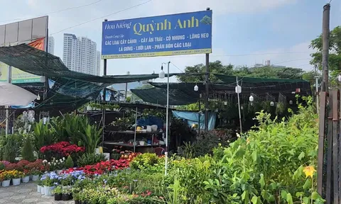 Phường Tân Hưng (TP.HCM): Chấn chỉnh vi phạm xây dựng trên đất nông nghiệp