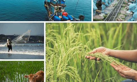 Bức tranh nông nghiệp Việt Nam 2025: Vượt thách thức thiên tai và dịch bệnh, giữ vững đà tăng trưởng bền vững