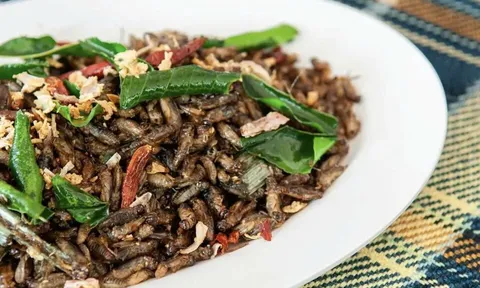 Rào cản văn hóa và tương lai của thực phẩm từ côn trùng