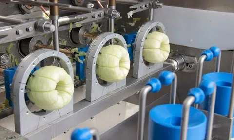 Công nghệ gọt vỏ táo thông minh và những gợi mở về thị trường trái cây cắt sẵn