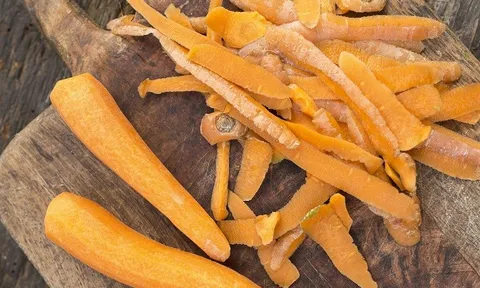 Từ phế phẩm cà rốt đến ‘lời giải’ bền vững cho thị trường protein thay thế