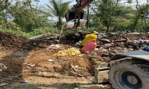 Ngăn chặn 1,9 tấn măng tươi “bẩn” tại Nghệ An