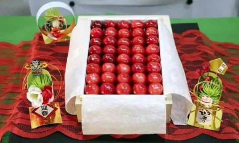 Tại sao anh đào Nhật Bản có giá hàng nghìn USD?