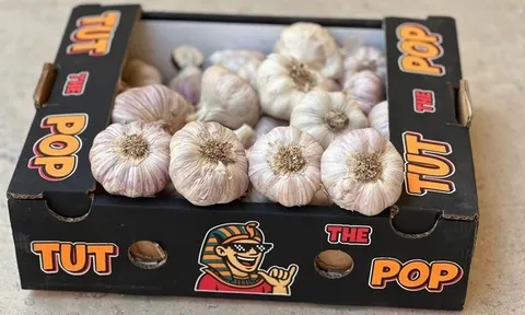 Bắc Mỹ đa dạng hóa nguồn cung tỏi