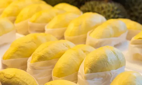 Dự báo sản lượng sầu riêng Thái Lan năm 2026 vượt 1,78 triệu tấn: Đối mặt nguy cơ giá chạm đáy trong gần 6 năm