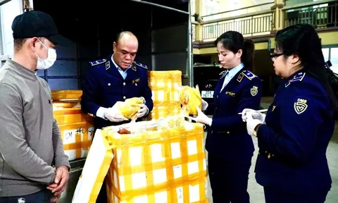 Chặn đứng hơn 400 sản phẩm gà trôi nổi thâm nhập thị trường Thái Nguyên