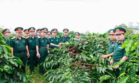 Binh đoàn 16 phát triển nông nghiệp gắn với đảm bảo quốc phòng và an sinh xã hội