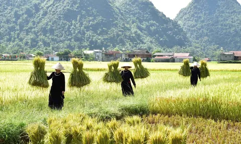 Khởi động tìm kiếm 8 'Làng du lịch tốt nhất' đại diện Việt Nam tranh giải quốc tế 2026