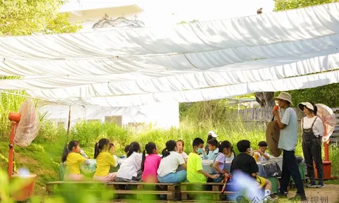 Chiến lược 'nhỏ mà chất' tại Happy Farm: Khi một mảnh vườn thay đổi cục diện kinh tế trang trại