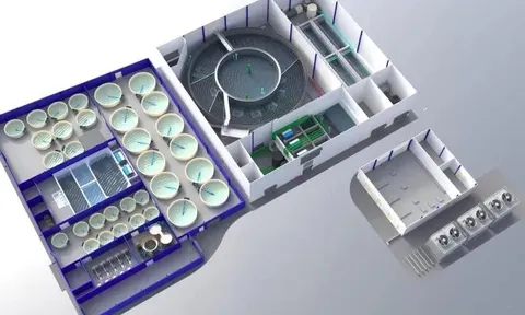 Singapore khởi động dự án nuôi cá hồi vân công nghệ cao ngay tại vùng nhiệt đới