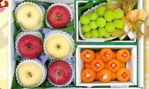 Sự dịch chuyển của văn hóa tặng quà: Hộp quà trái cây truyền thống tại Đài Loan đang mất dần vị thế?