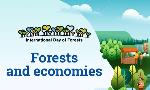 Rừng khỏe mạnh chính là nền tảng cho sự giàu có của nhân loại