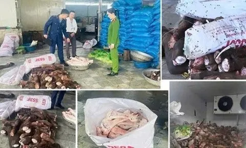 Thanh Hóa mạnh tay xử lý thực phẩm bẩn: Tạm giữ gần 6 tấn đuôi, chân, xương và gân trâu không rõ nguồn gốc, xuất xứ