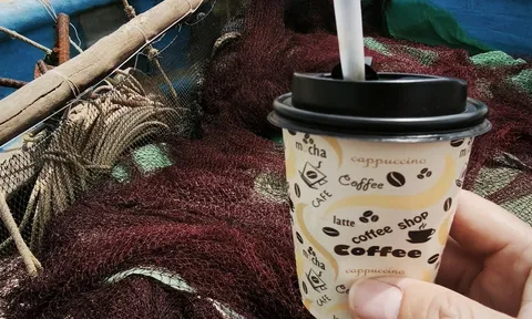 Phía sau chiếc cốc giấy: Nghịch lý của sự tiện lợi và áp lực lên những cánh rừng