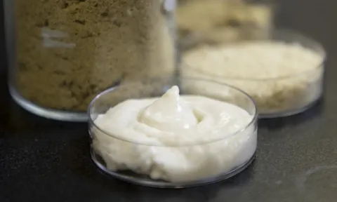 Từ phụ phẩm gạo đến phô mai thực vật giàu protein