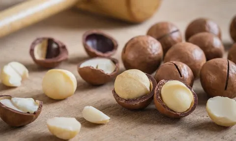 Mắc ca: Từ 'hoàng hậu' của hệ sinh thái nông nghiệp đến 'vàng lỏng' phục hồi nhan sắc