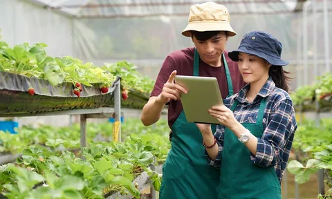 Nghịch lý nhân lực nông nghiệp: Kỹ sư nông học chật vật giữa 'cơn khát' công nghệ cao