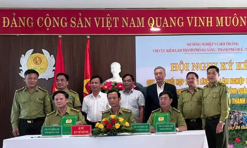Ký kết phối hợp bảo vệ rừng vùng giáp ranh của ba địa phương Đà Nẵng, Quảng Ngãi và Huế