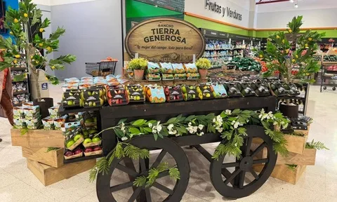 Công nghệ bao bì sợi xenlulô: Lời giải cho bài toán rác thải nhựa nông sản