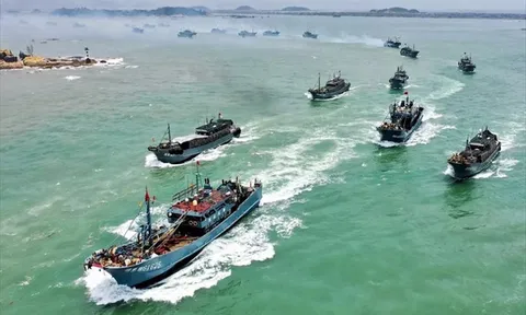 Đề xuất khung trách nhiệm doanh nghiệp nhằm chống IUU và vi phạm lao động