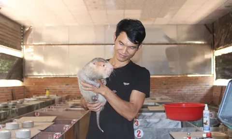 Tín dụng chính sách là “bệ đỡ” góp phần thúc đẩy phát triển kinh tế hiệu quả