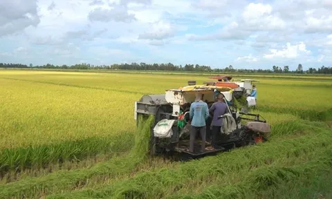 Xuất khẩu nông, lâm, thủy sản quý I đạt gần 16,7 tỷ USD