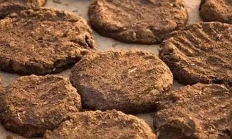 "Bánh phân bò": Ranh giới giữa vật phẩm tâm linh đắt đỏ và nguồn năng lượng tái tạo bình dân