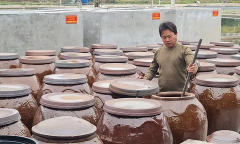 Nước mắm truyền thống: Neo giữ 'hồn biển' trước làn sóng công nghiệp hóa