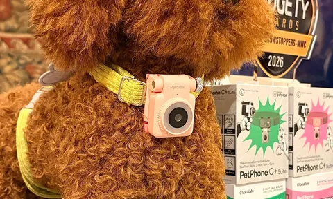 Cơ hội sống mới cho thú cưng nhờ AI và liệu pháp tế bào gốc