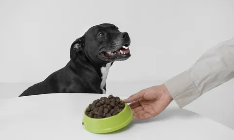 Kinh tế thú cưng giai đoạn 2025 – 2030: Cuộc chuyển mình từ tăng trưởng quy mô sang giá trị thặng dư