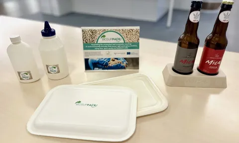 Bã bia - nguồn nguyên liệu cho bao bì bền vững