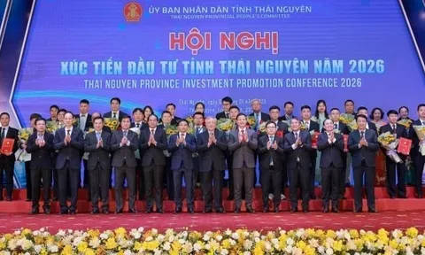 Thái Nguyên xác lập kỷ lục FDI nhờ đột phá từ 'cơ chế xanh'