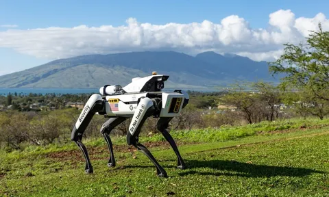 'Vệ sĩ' cơ khí trên những cánh đồng ngô giống