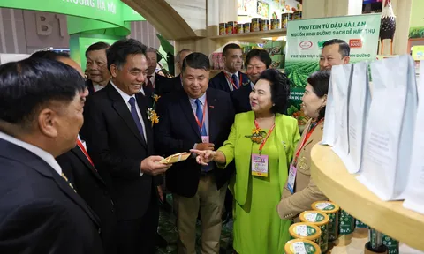 HCMC FOODEX 2026: Kiến tạo một không gian giao thương quốc tế sôi động