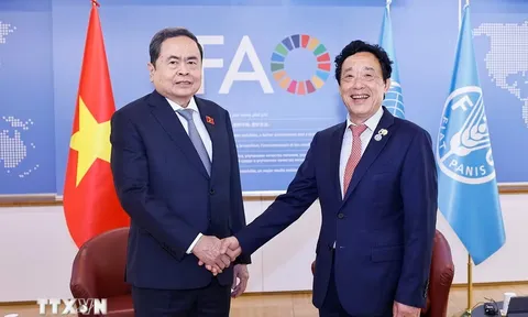 Thúc đẩy hợp tác nông nghiệp, an ninh lương thực giữa Việt Nam và FAO