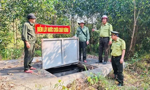 Phường Phú Bài (TP Huế)  tăng cường công tác phòng, chống cháy rừng trong thời điểm nắng nóng kéo dài