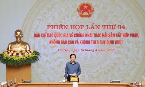 Hành động quyết liệt, khắc phục triệt để tồn tại, quyết tâm gỡ 'thẻ vàng' IUU