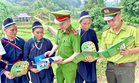 Giữ vững 'lá phổi xanh' – Tuyên Quang chủ động, quyết liệt trong bảo vệ rừng và phòng cháy, chữa cháy rừng