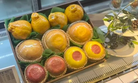 H-SWEET xác lập chuẩn mực kỹ thuật số cho ngành trái cây cao cấp tại Hàn Quốc