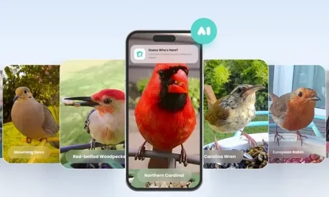 Sự kết hợp giữa công nghệ giám sát thông minh và thú chơi quan sát chim hoang dã tạo nên thị trường tỷ đô