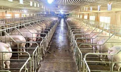 Đẩy mạnh ứng dụng khoa học công nghệ là yêu cầu cấp thiết đối với ngành chăn nuôi