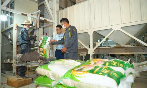 Nhà máy Phan Gia: Khi công nghệ sấy hiện đại giúp xác lập vị thế mới cho hạt gạo Tây Nguyên