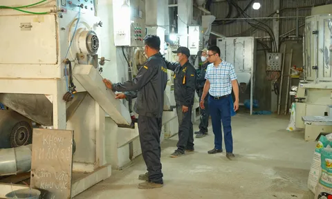 Phan Gia và 'lối mở' cho chuỗi giá trị lúa gạo Tây Nguyên sau thu hoạch