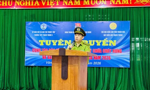 Phát huy sức trẻ đoàn viên, thanh niên trong công tác bảo vệ rừng