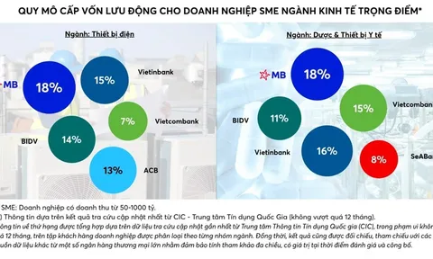 MB – Ngân hàng top đầu Quy mô dư nợ cho vay ngắn hạn đối với doanh nghiệp SME thuộc ngành kinh tế trọng điểm