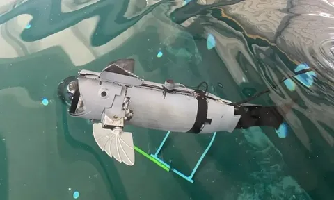 Cá robot mô phỏng sinh học: Giải pháp giám sát lồng nuôi không gây ứng kích