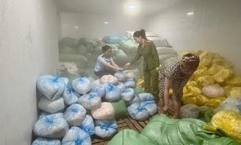 Thanh Hóa tạm giữ hơn 14 tấn bì lợn không rõ nguồn gốc