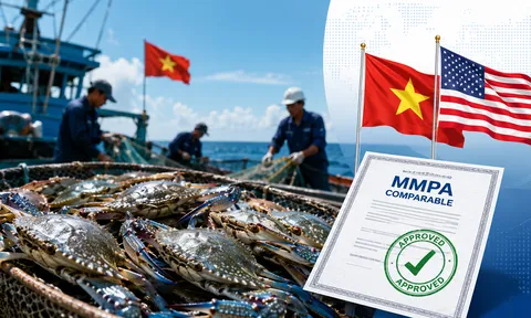 Nghề ghẹ Việt Nam được NOAA Mỹ công nhận tương đương theo MMPA