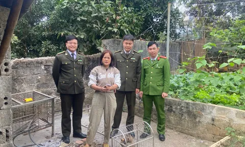 Tái thả cá thể khỉ do người dân tự nguyện bàn giao về Vườn Quốc gia Xuân Liên
