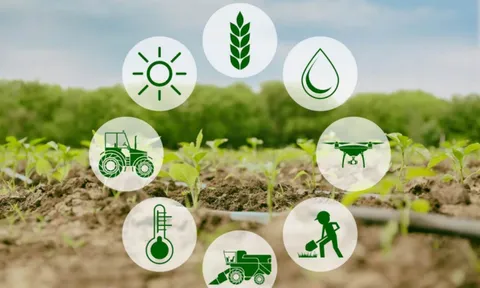 Cắt giảm, đơn giản hóa điều kiện kinh doanh của 11 lĩnh vực nông nghiệp và môi trường